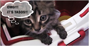 Darkfall’s rescue lolcat Darkfall’s rescue lolcat